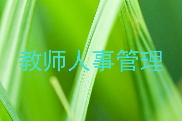 教师人事管理