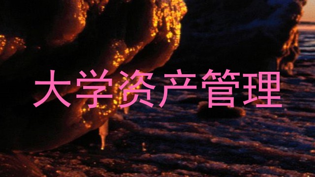 大学资产管理