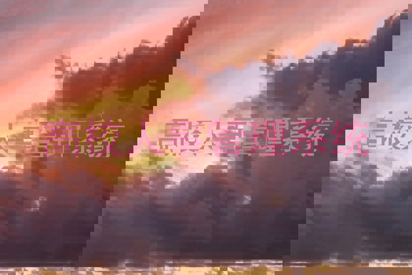 高校人事管理系统