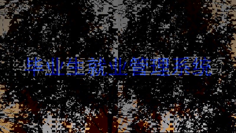 毕业生就业管理系统