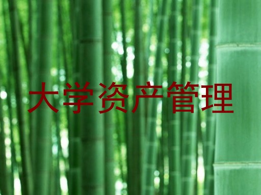 大学资产管理