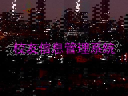 校友信息管理系统