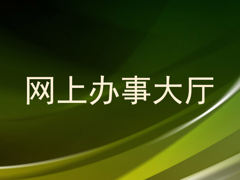网上办事大厅