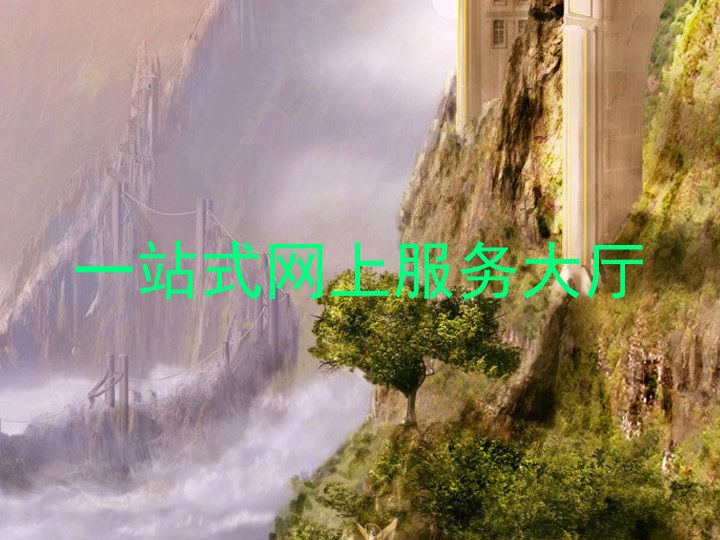 一站式网上服务大厅