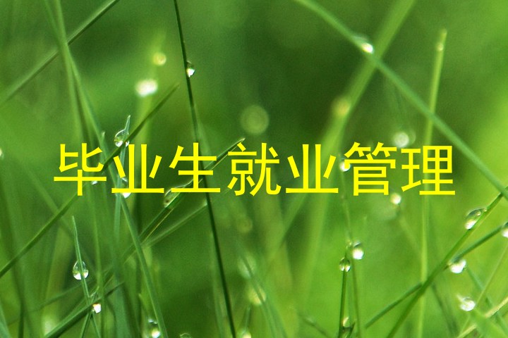 毕业生就业管理