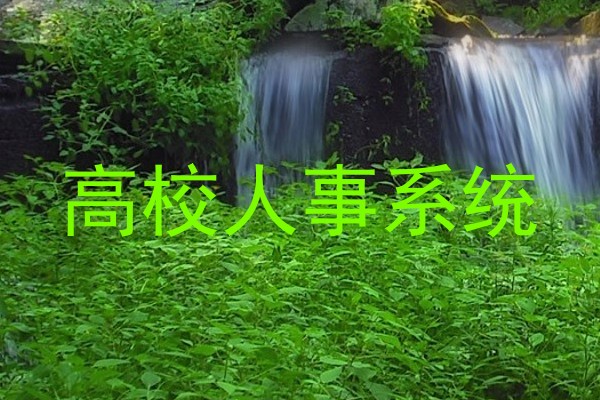 高校人事系统