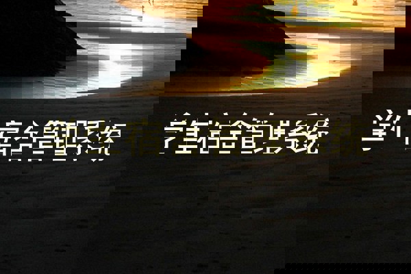 学生宿舍管理系统