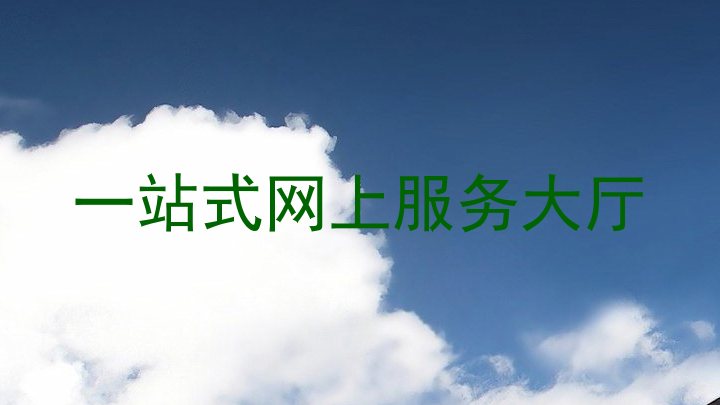 一站式网上服务大厅