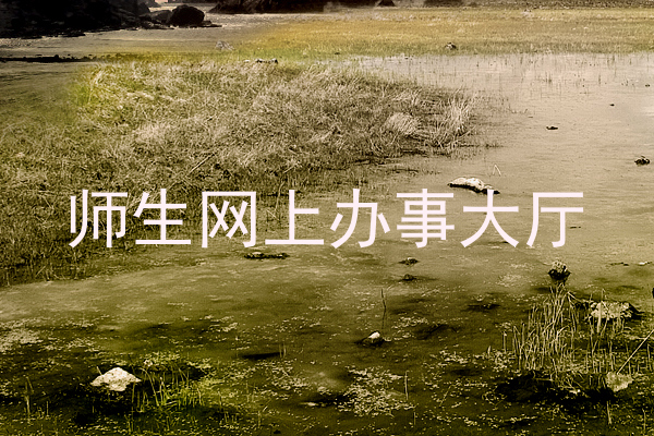 师生网上办事大厅