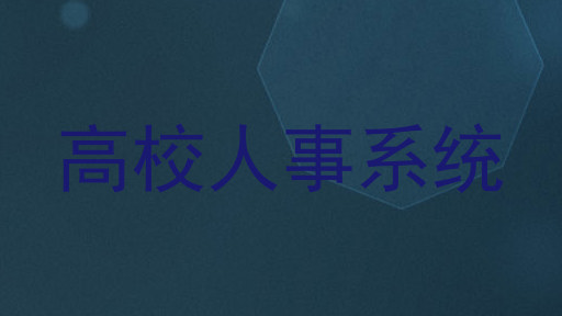 高校人事系统