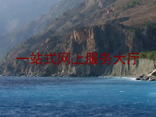一站式网上服务大厅