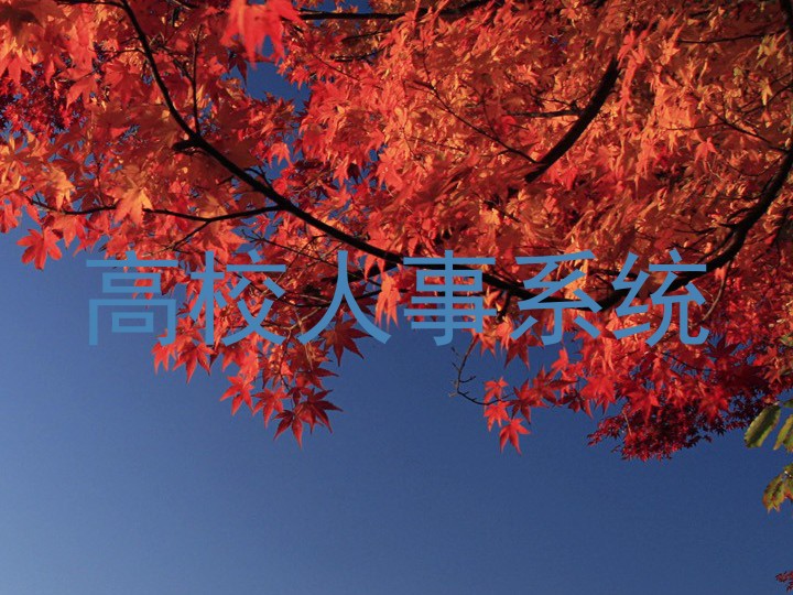 高校人事系统