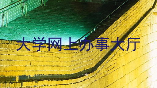 大学网上办事大厅