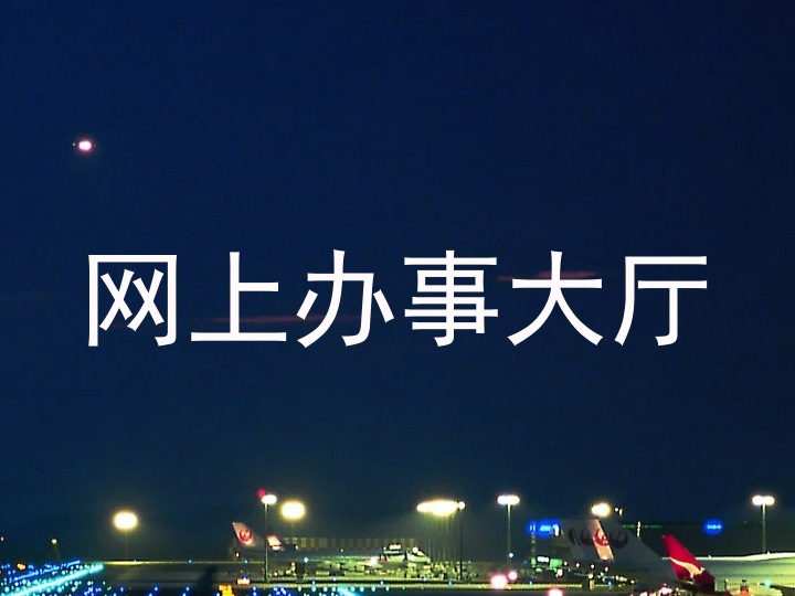 网上办事大厅