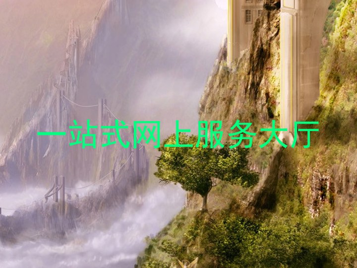 一站式网上服务大厅