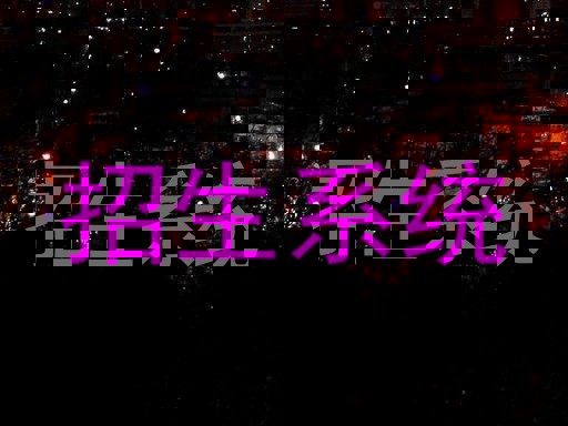 招生系统