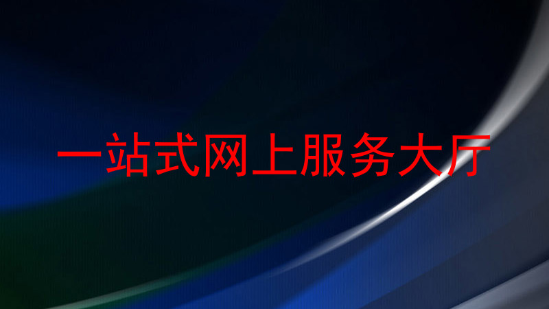 一站式网上服务大厅