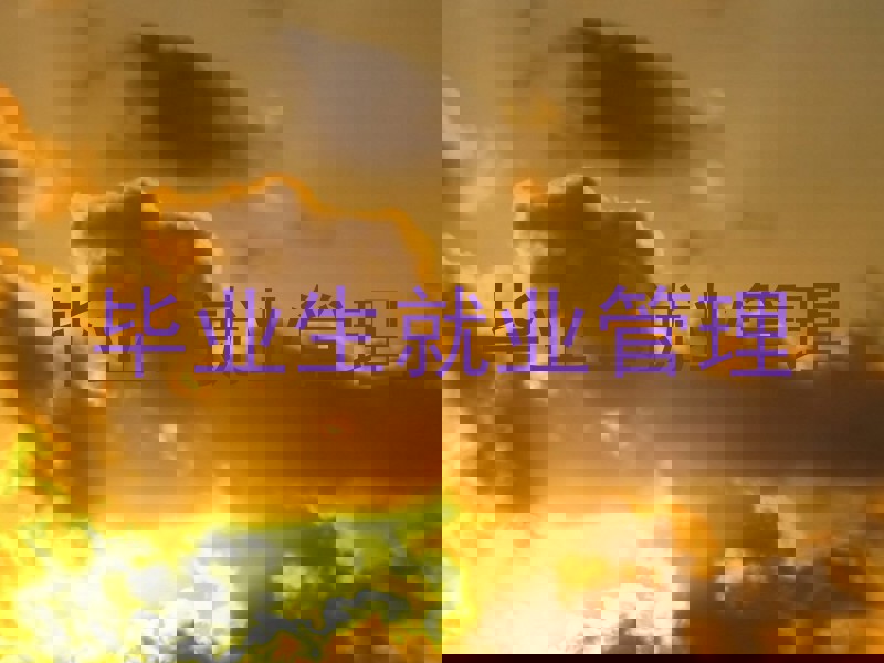 毕业生就业管理