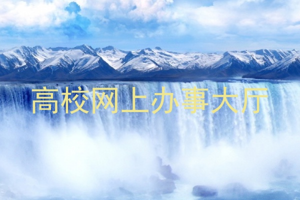 高校网上办事大厅