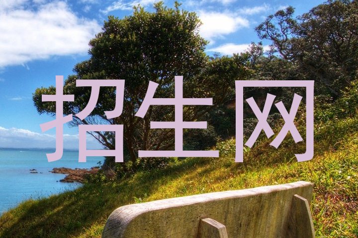 招生网