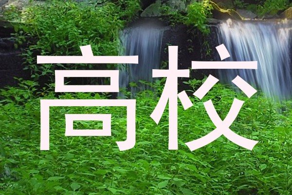 高校