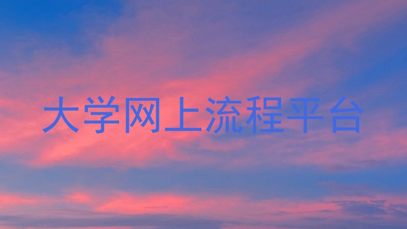 大学网上流程平台