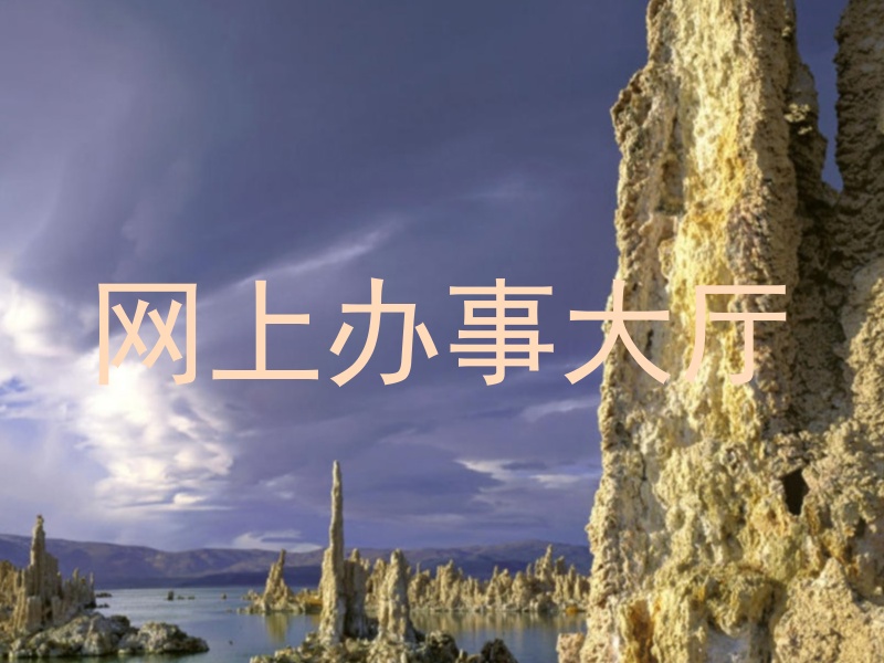 网上办事大厅