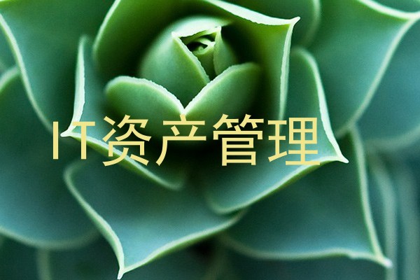 IT资产管理