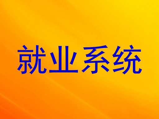 就业系统