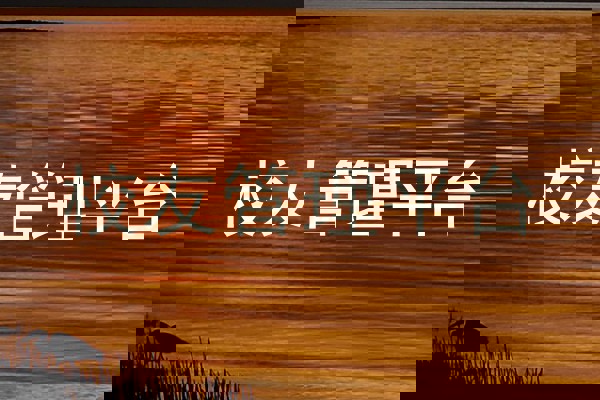 校友管理平台
