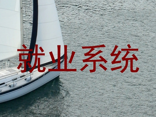 就业系统