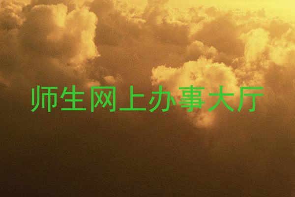 师生网上办事大厅