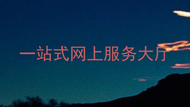 一站式网上服务大厅