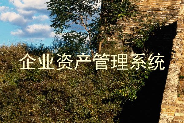 企业资产管理系统