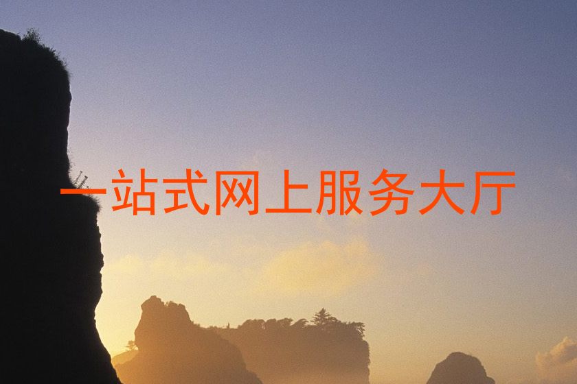 一站式网上服务大厅