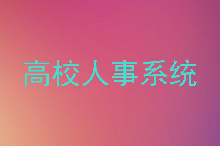高校人事系统
