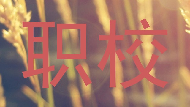 职校