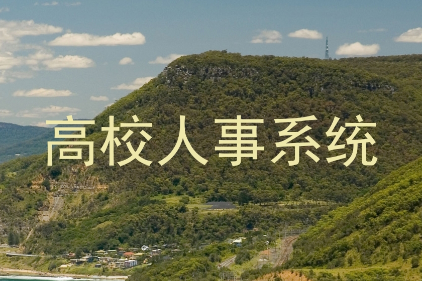 高校人事系统