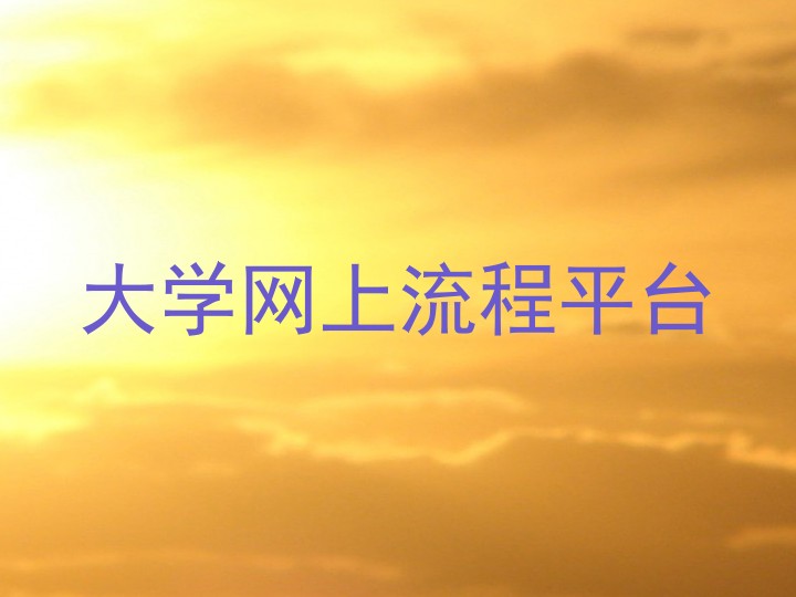 大学网上流程平台