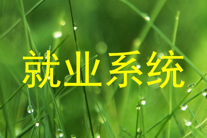 就业系统