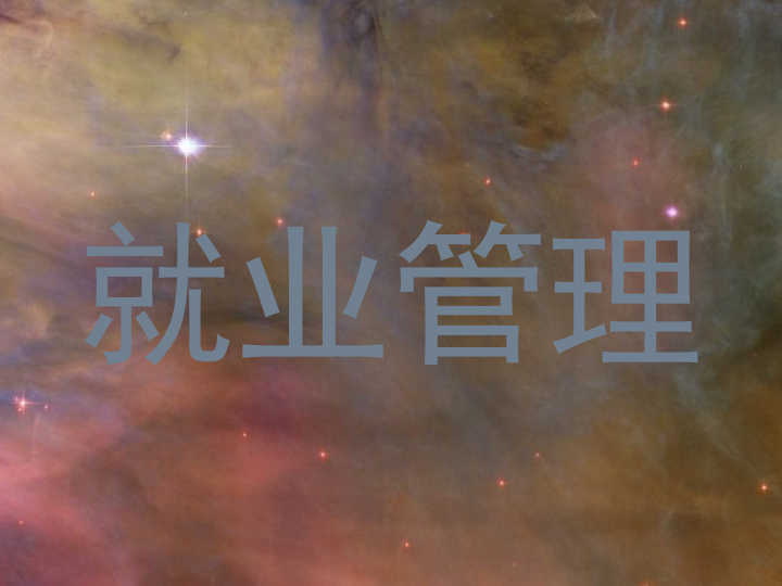 就业管理