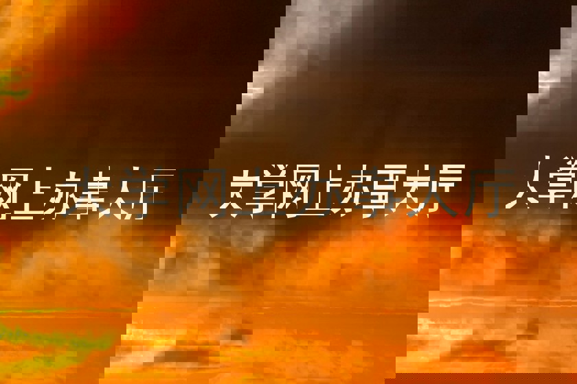 大学网上办事大厅