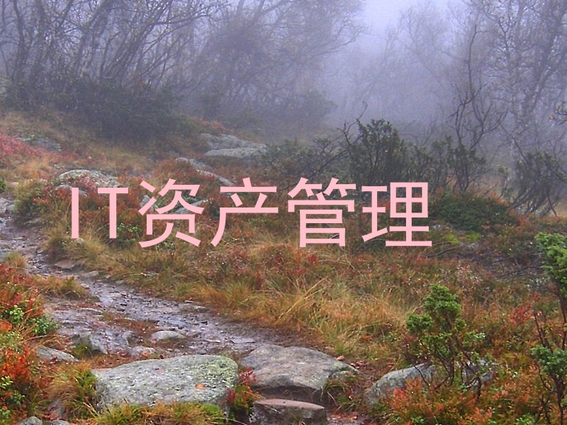 IT资产管理