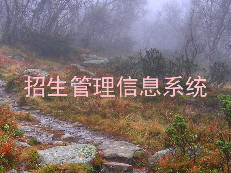 招生管理信息系统