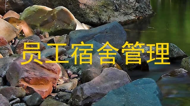 员工宿舍管理