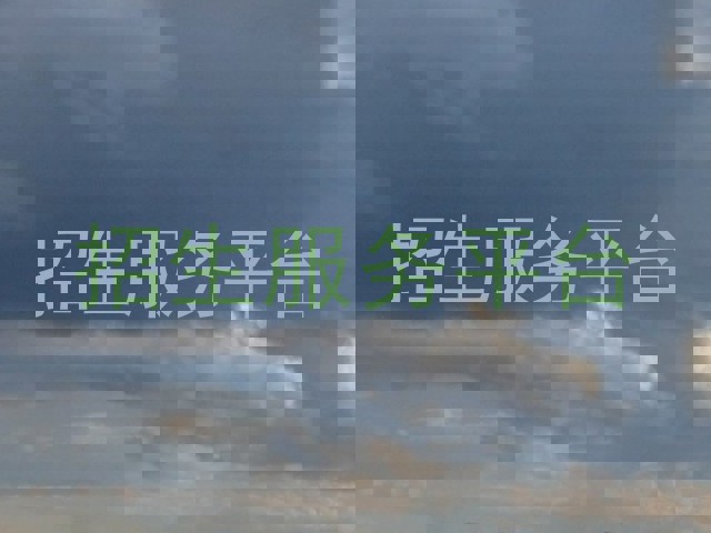 招生服务平台