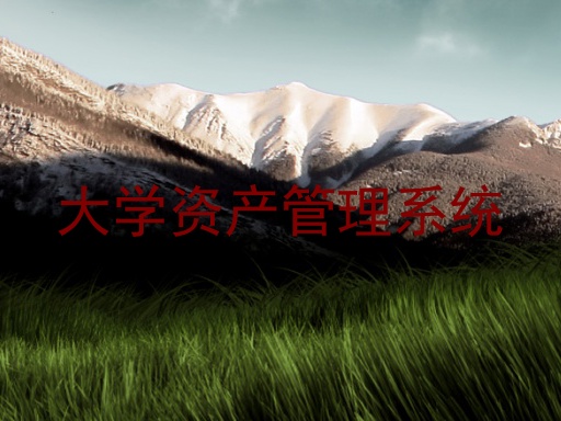 大学资产管理系统