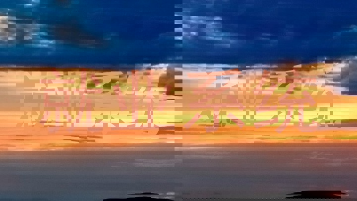 就业系统