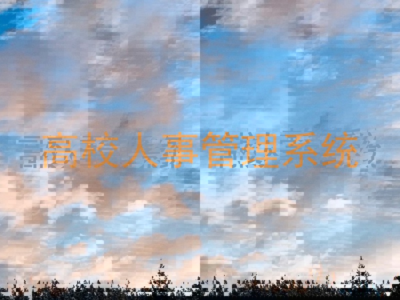 高校人事管理系统