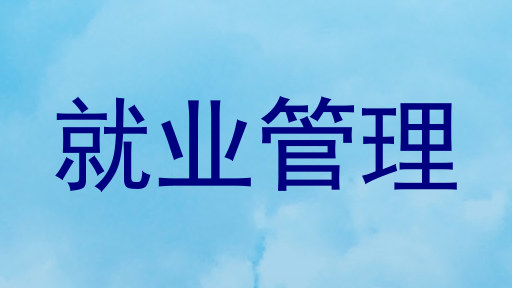 就业管理